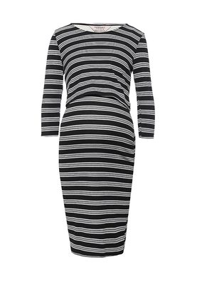 Dorothy Perkins Maternity 